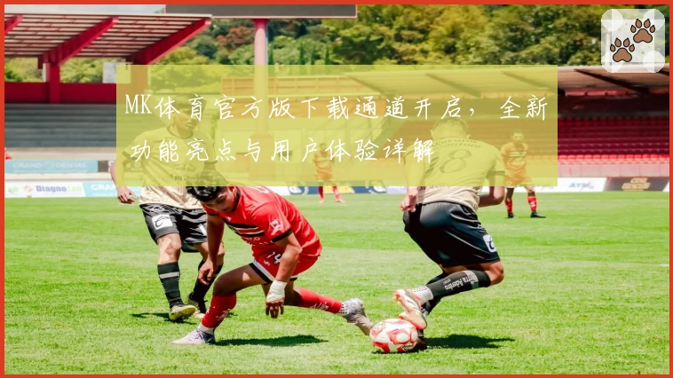 MK体育官方版下载通道开启，全新功能亮点与用户体验详解