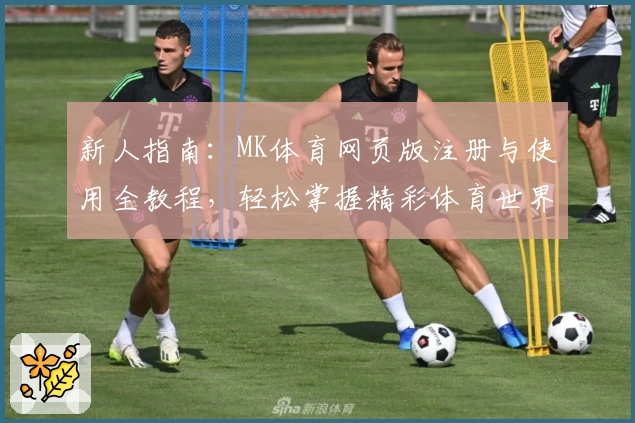 新人指南：MK体育网页版注册与使用全教程，轻松掌握精彩体育世界入口