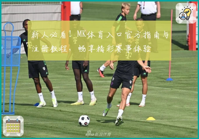 新人必看！MK体育入口官方指南与注册教程，畅享精彩赛事体验